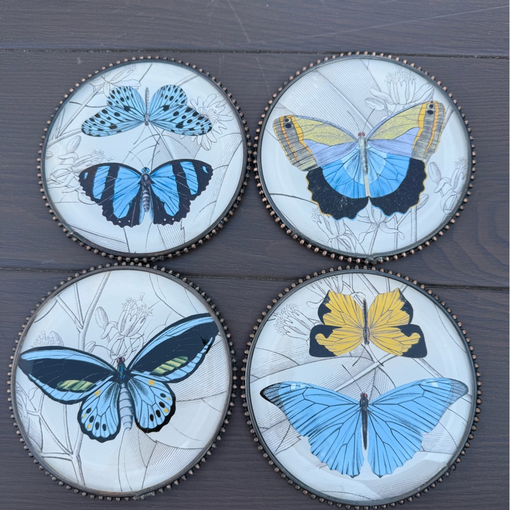 Fringe studio Butterfly coasters set of 4 - Blue and Yellow